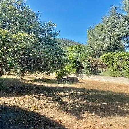 Maison F5 Avec Jardin Et Terrasse, Animaux Admis - Fr-1-703-216 *