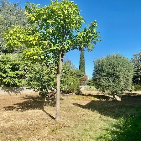 Feriehus Maison F5 Avec Jardin Et Terrasse, Animaux Admis - Fr-1-703-216 Le Boulou