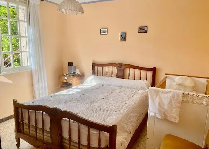 Vakantiehuis Maison F5 Avec Jardin Et Terrasse, Animaux Admis - Fr-1-703-216 *