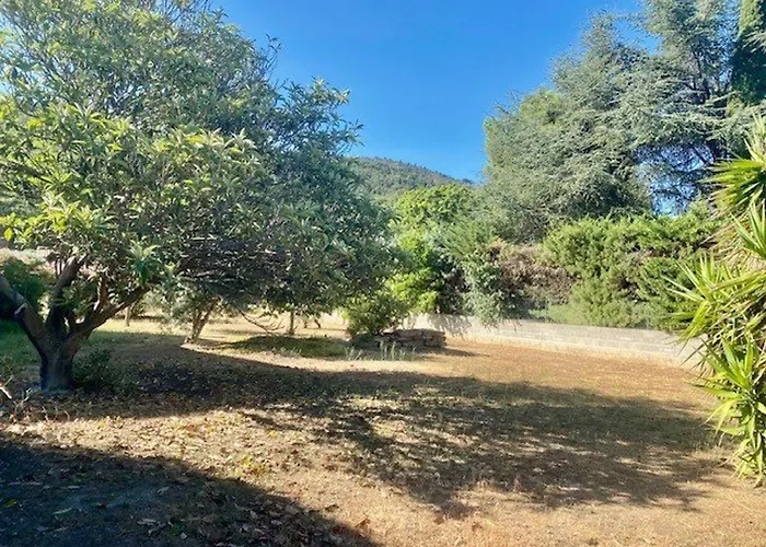 Maison F5 Avec Jardin Et Terrasse, Animaux Admis - Fr-1-703-216 *
