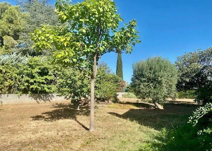 Vakantiehuis Maison F5 Avec Jardin Et Terrasse, Animaux Admis - Fr-1-703-216 Le Boulou